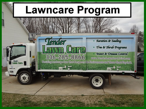 Our Lawn Care Packages Keep Your Grass Lush and Green!