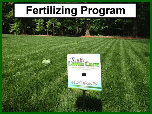 TLC Lawn Care Fertilizing and Seeding