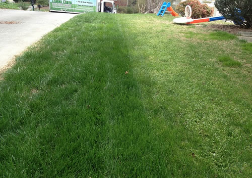 Compare the Green TLC Grass Seeding and Aeration - Greensboro NC
