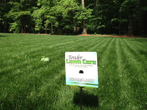 Liquid Yard and Lawn Care Fertilizing Advance NC