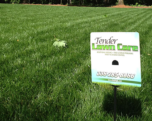 Lawn Aeration and Seeding Advance