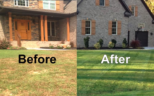 Before and After TLC Lawn Care Photos.