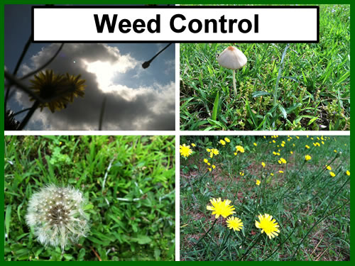 Weed Control Packages