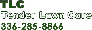 Tender Lawn Care Treatment Greensboro, Winston Salem - Triad | Landscaping Home Grass and Lawn Care Company